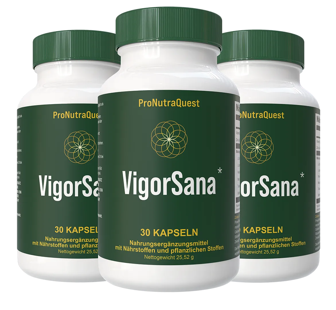 VigorSana 3 Flaschen